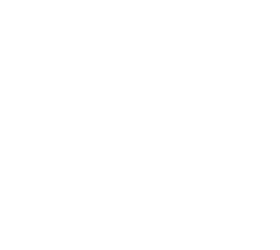 TPN_whiteLogoTransparent_1280